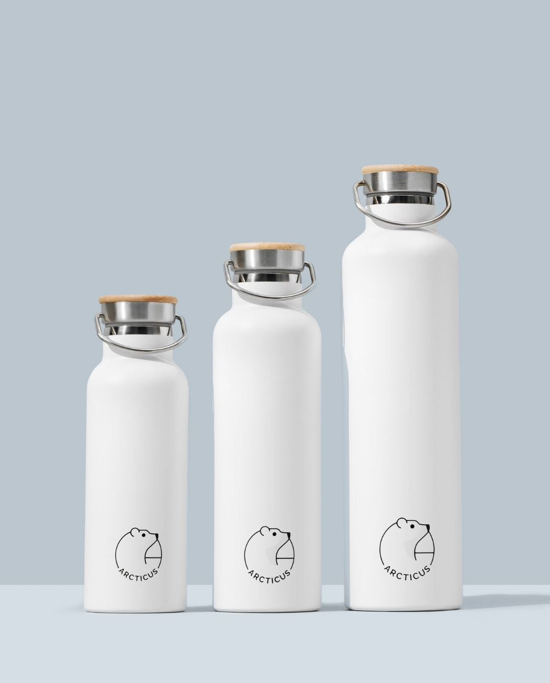 Arctic Bottle Arcticus Arcticus 