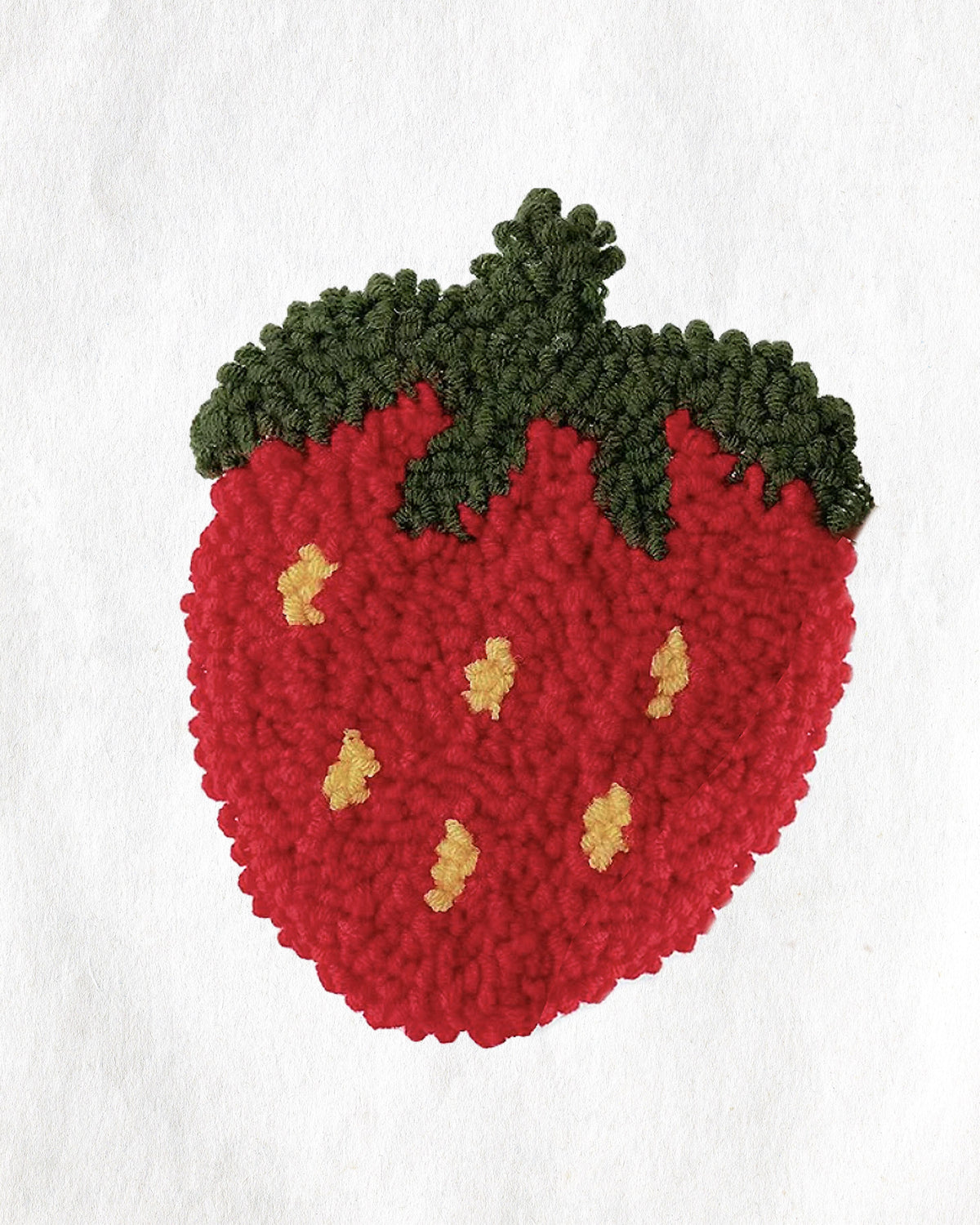Strawberry Delight Punch Needle Kit Punch Needle Kit Great Functional Goods 
